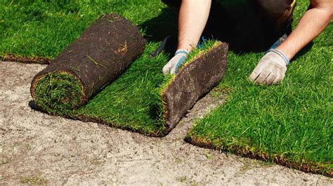 Sod install. Things To Know About Sod install. 